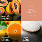 Papaya Paradise 3-Wick Candle