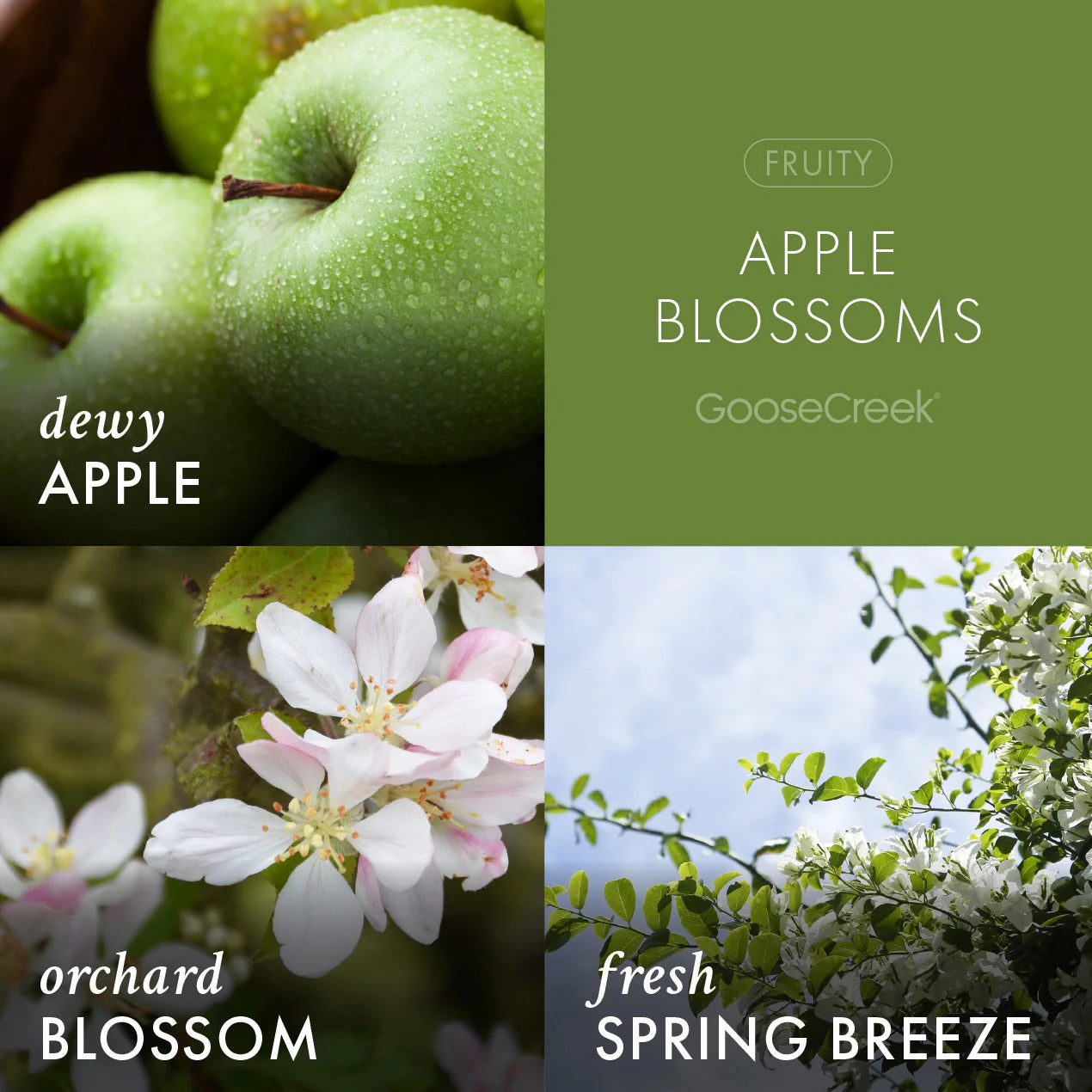 Apple Blossoms 3-Wick Candle