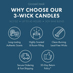 Blueberry Cake Donut 3-Wick Candle