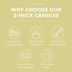Clean House Citrus 3-Wick Candle