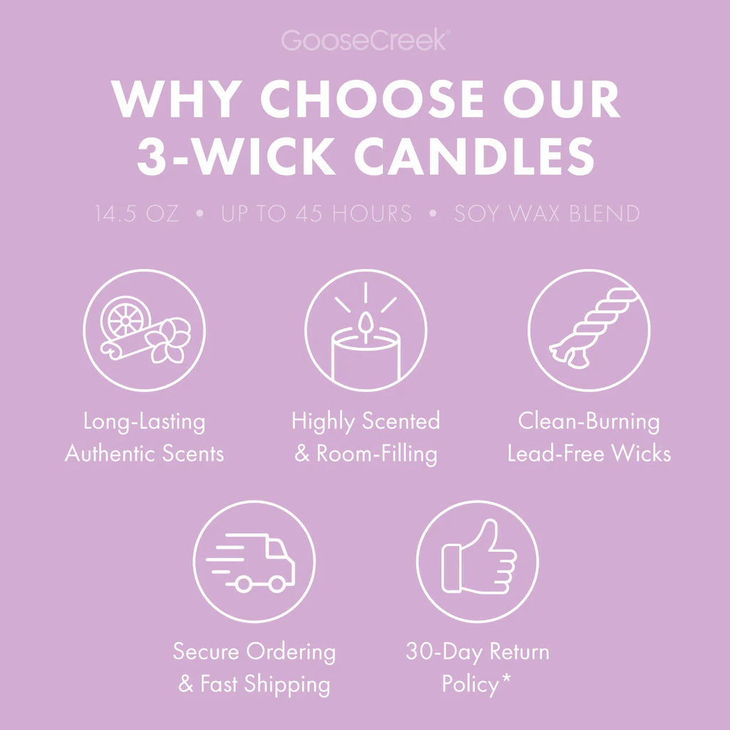 Grape Soda 3-Wick Candle