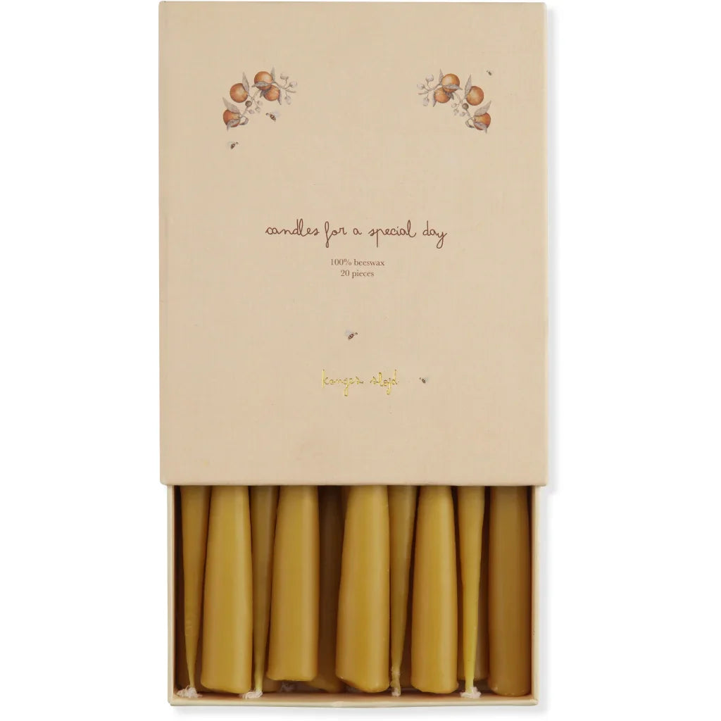 Dinosaur Birthday Train With Beeswax Candles