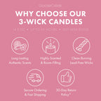 Raspberry Sorbet 3-Wick Candle