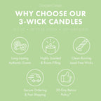 Green Grass & Apple 3-Wick Candle