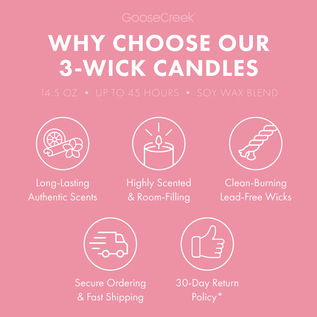 Dragonfruit Splash 3-Wick Candle
