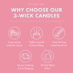 Dragonfruit Splash 3-Wick Candle