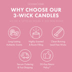 Pink Bellini Large 3-Wick Candle