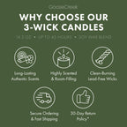 Jungle Palm Trees 3-Wick Candle