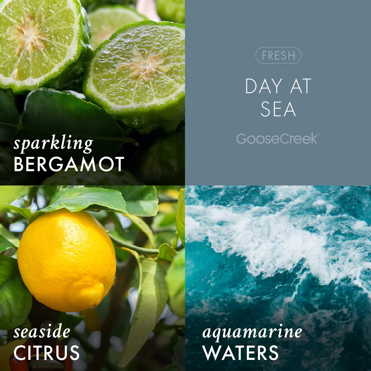 Day at Sea 3-Wick Candle