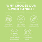 Wild Green Apple 3-Wick Candle
