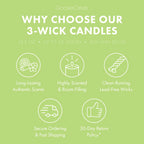 Odor Eliminating Wild Green Apple 3-Wick Candle