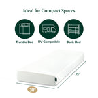 Zinus Lumbar+ Premium 14 Inch Memory Foam Mattress, Lumbar Support, Targeted Pressure Relief, Cooling Gel and Green Tea, Cool-to-The-Touch Cover, Medium Firm Feel, CertiPUR US Certified, King