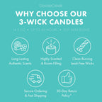 Tropical Daydream 3-Wick Candle