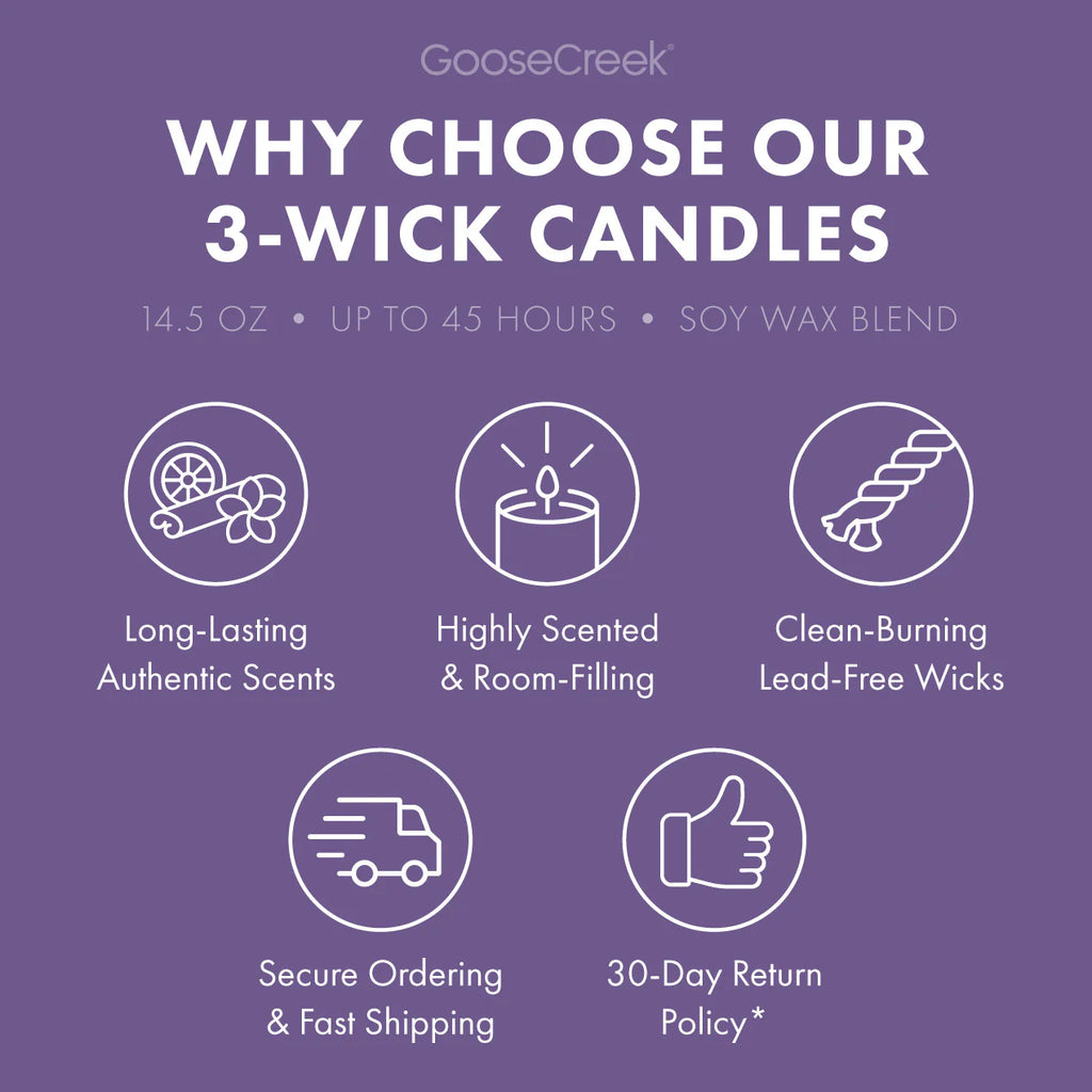 Sandy Cheeks 3-Wick Candle