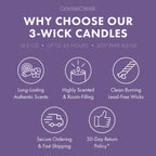 Sandy Cheeks 3-Wick Candle