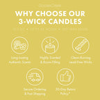 Chocolate Dipped Banana 3-Wick Candle