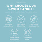 Coconut Cream Mousse 3-Wick Candle
