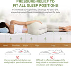 EGOHOME Full Size Memory Foam Mattress, 14 Inch Bed Mattress in A Box with Cooling Green Tea Gel, Pressure Relief with Medium Firm Support, CertiPUR-US Certified, 75''L x 54''W, White