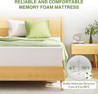 EGOHOME Full Size Memory Foam Mattress, 14 Inch Bed Mattress in A Box with Cooling Green Tea Gel, Pressure Relief with Medium Firm Support, CertiPUR-US Certified, 75''L x 54''W, White