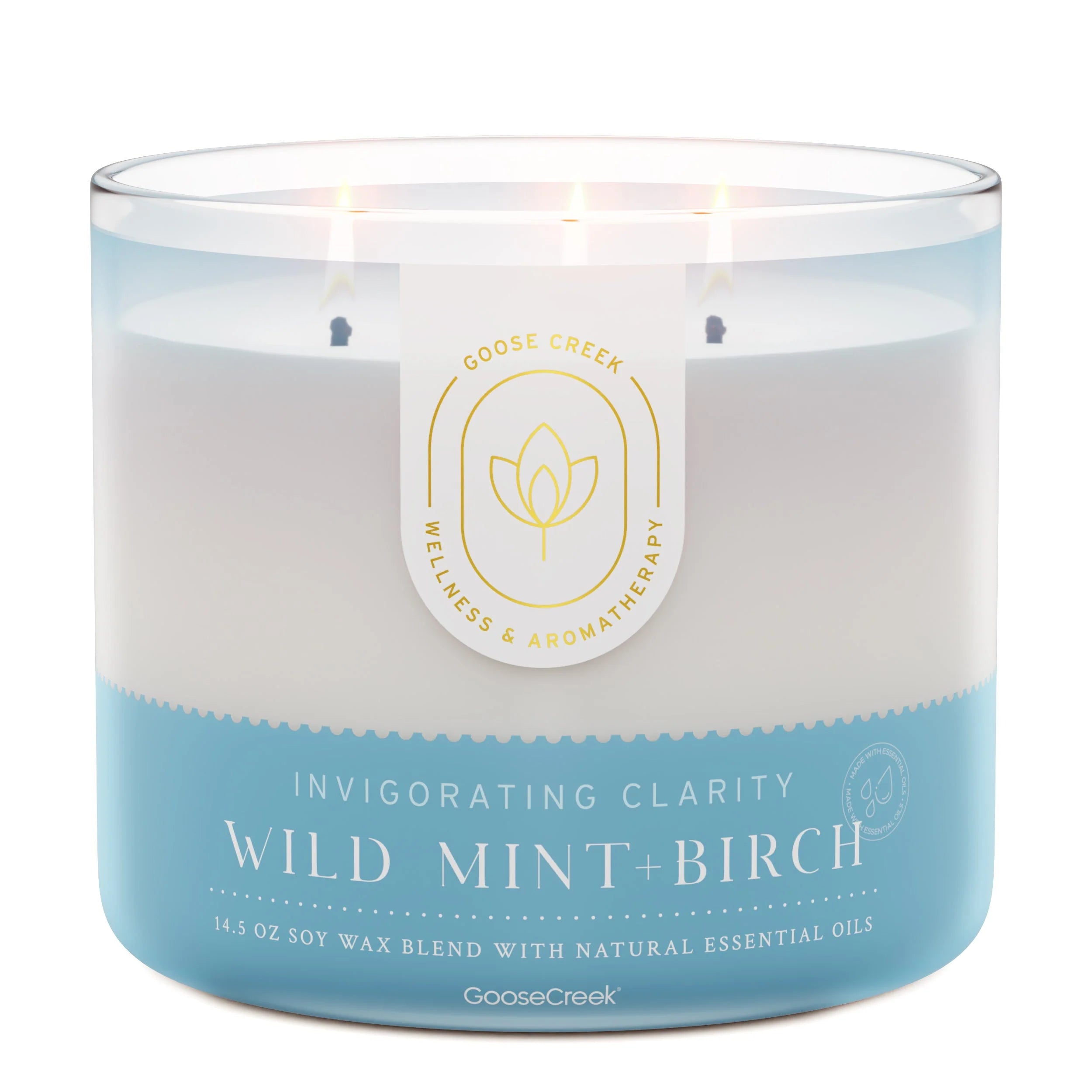Wild Mint & Birch Aromatherapy 3-Wick Candle