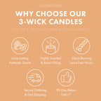 Sunlit Sands 3-Wick Candle