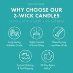Welcome to Bikini Bottom 3-Wick Candle