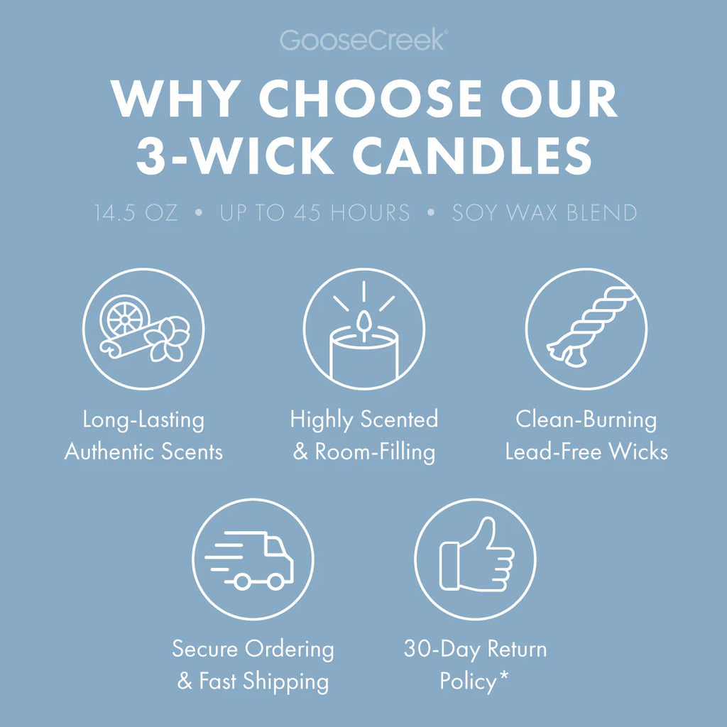 Blueberry Funnel Cake 3-Wick Candle