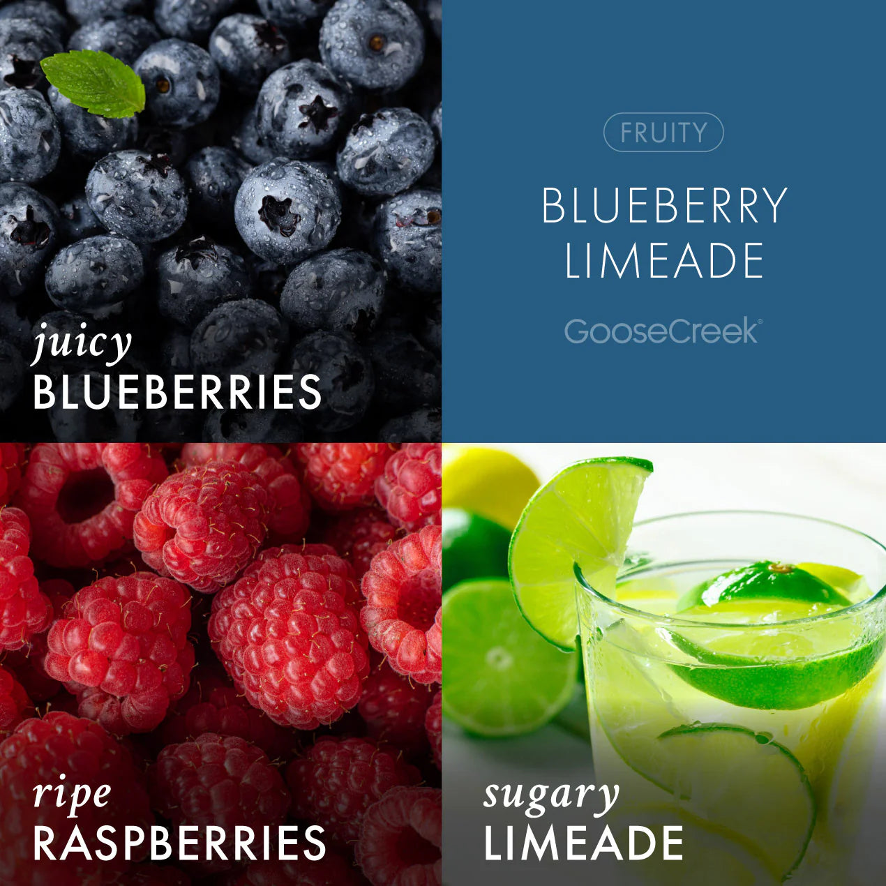 Blueberry Limeade 3-Wick Candle