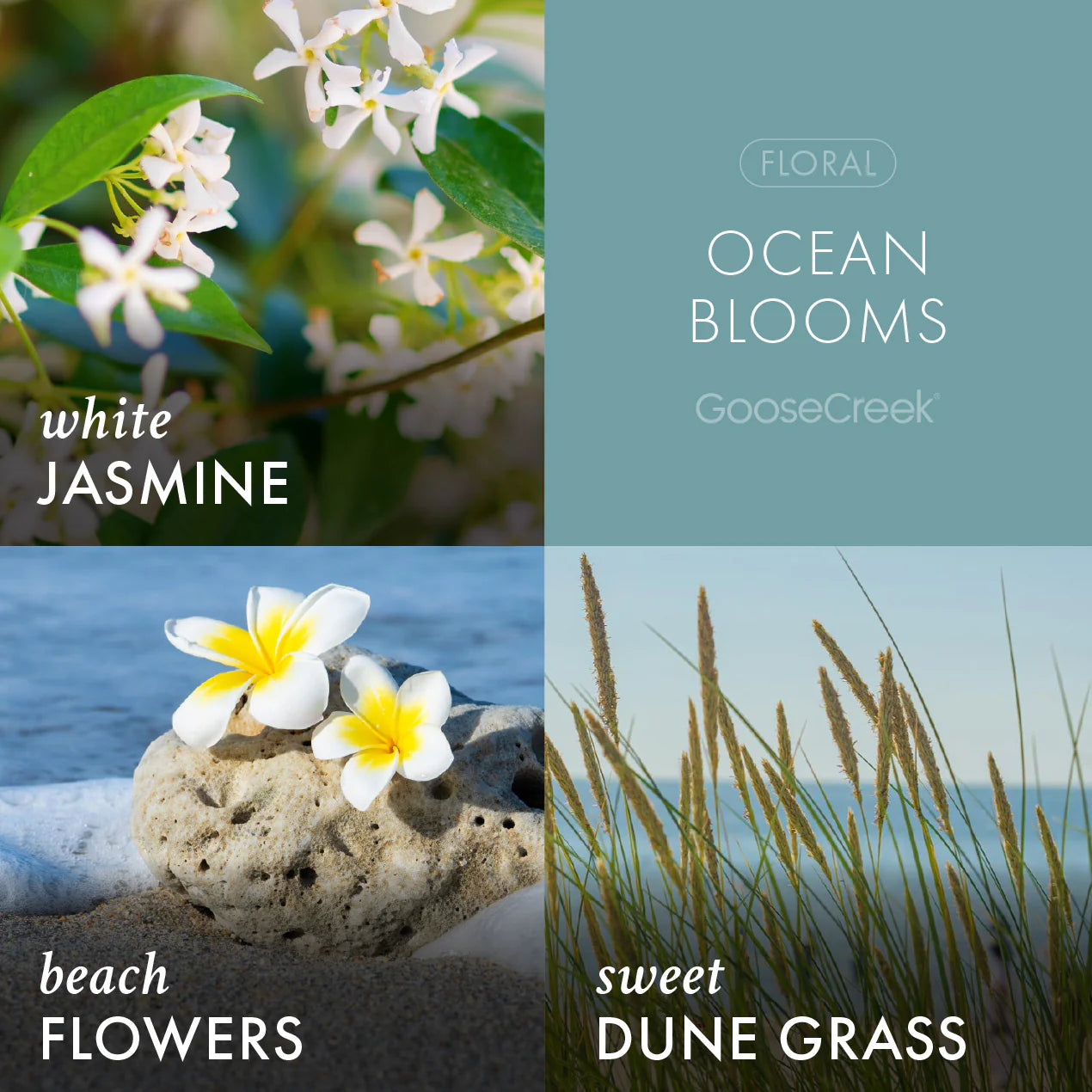 Ocean Blooms 3-Wick Candle