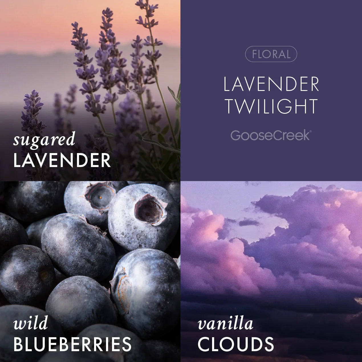 Lavender Twilight 3-Wick Candle