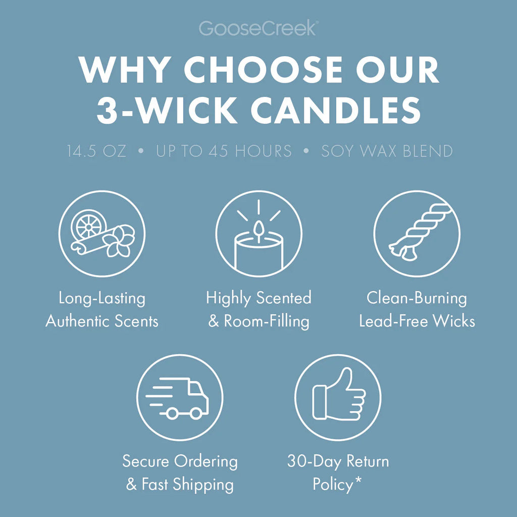 Wild Mint & Birch Aromatherapy 3-Wick Candle