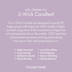 Peanut Butter & Jelly 3-Wick Candle