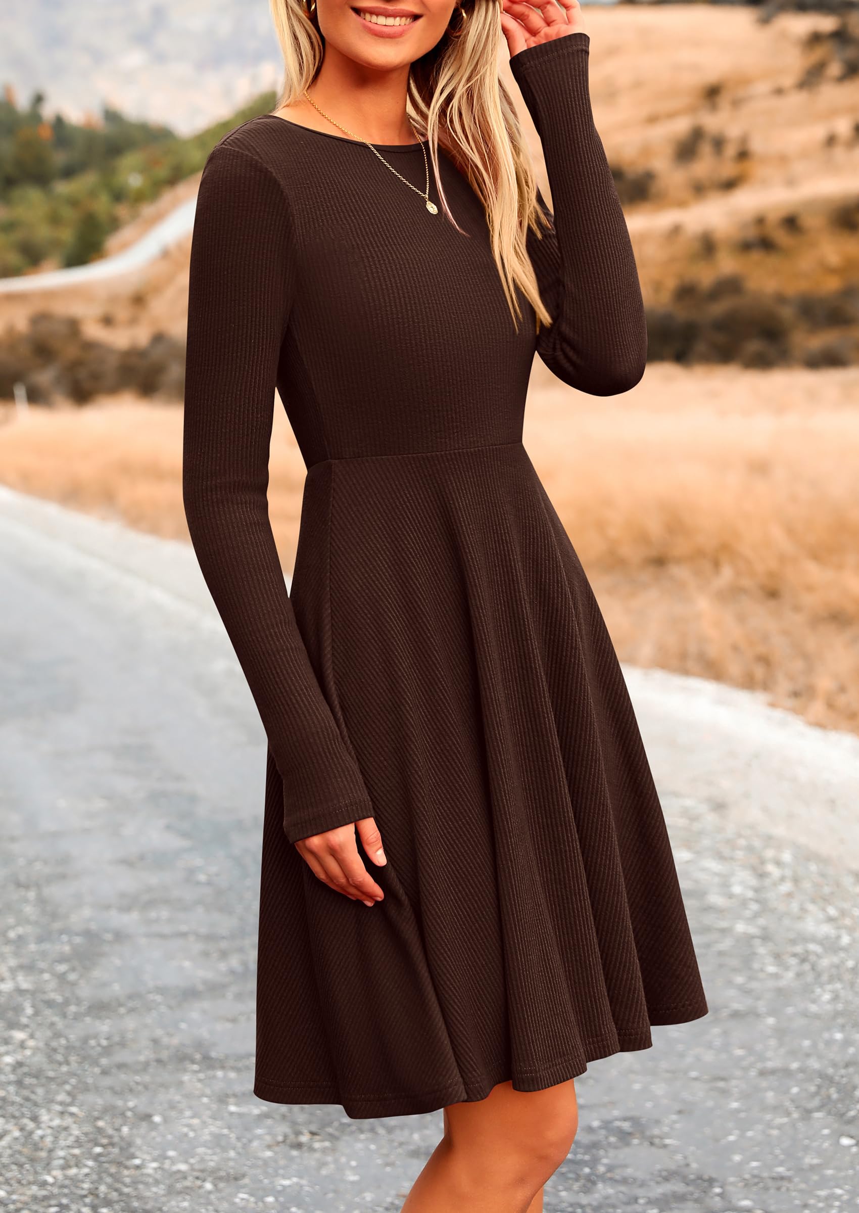 PRETTYGARDEN Women's Spring Fall Short Dress Ribbed Knit Crewneck Long Sleeve A Line Flowy Casual Elegant Going Out Dresses