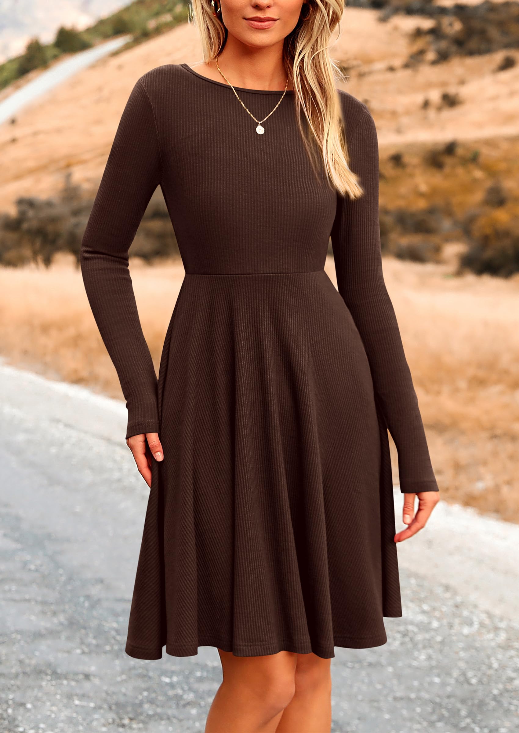 PRETTYGARDEN Women's Spring Fall Short Dress Ribbed Knit Crewneck Long Sleeve A Line Flowy Casual Elegant Going Out Dresses