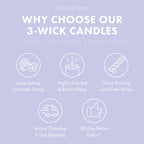 Wildberry Wisteria 3-Wick Candle