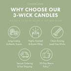 Farmstand Melon 3-Wick Candle
