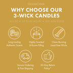 Pineapple Banana Punch 3-Wick Candle