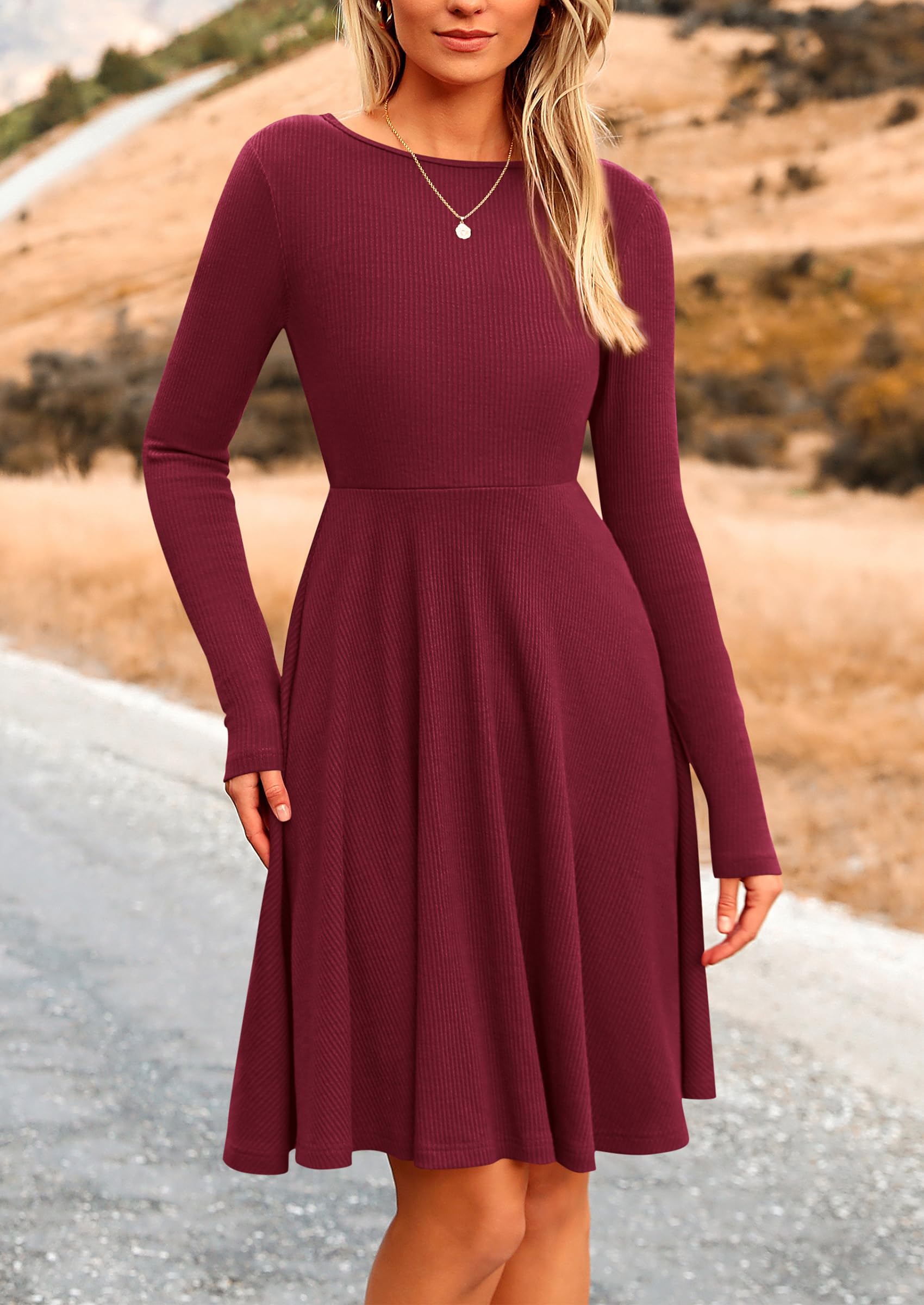 PRETTYGARDEN Women's Spring Fall Short Dress Ribbed Knit Crewneck Long Sleeve A Line Flowy Casual Elegant Going Out Dresses